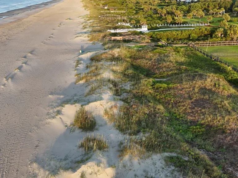 Aerial view of the beach and dunes at Isle of Palms, South Carolina
