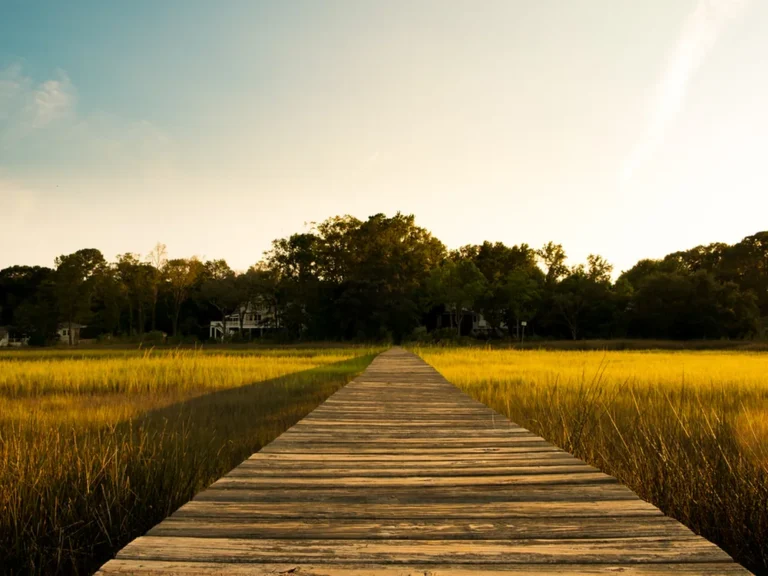 Boardwalk across the salt marsh at sunset near James Island, South Carolina